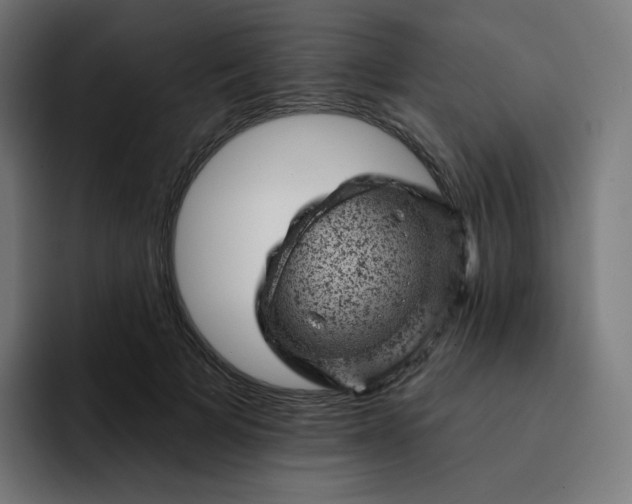 X0000093170697200710101212