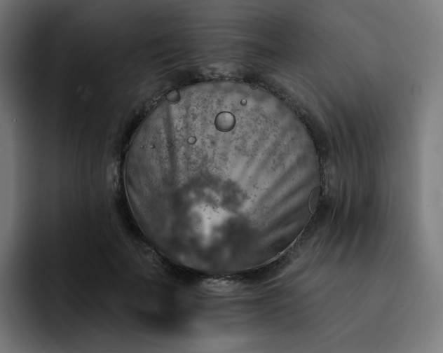 X0000093170699200710101212