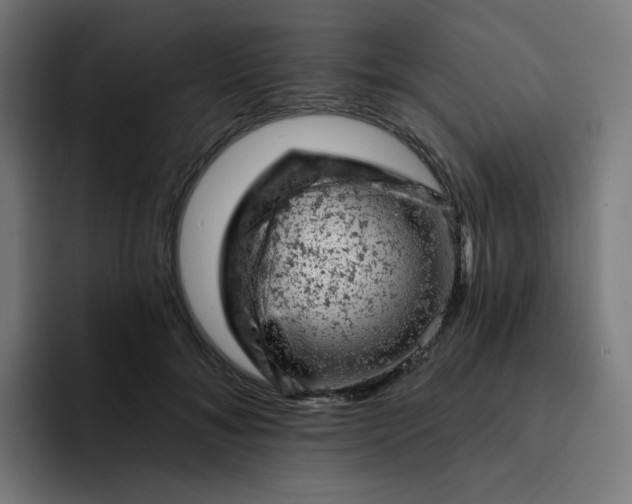 X0000093170700200710101212