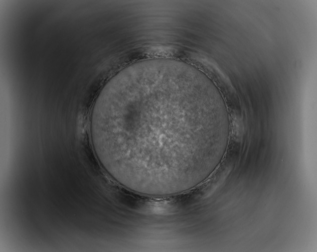 X0000093170701200710101212