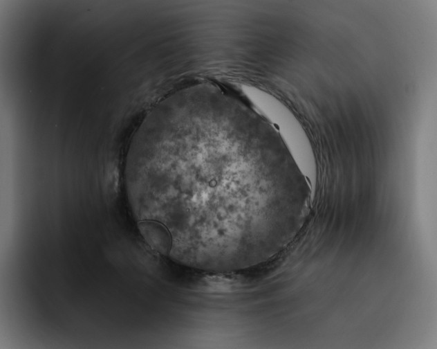 X0000093170703200710101212