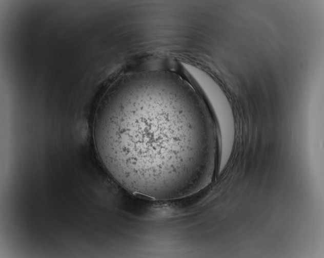 X0000093170704200710101212