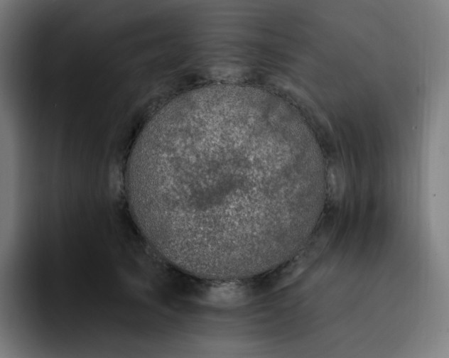 X0000093170705200710101212