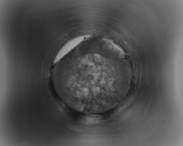 X0000093170707200710101212