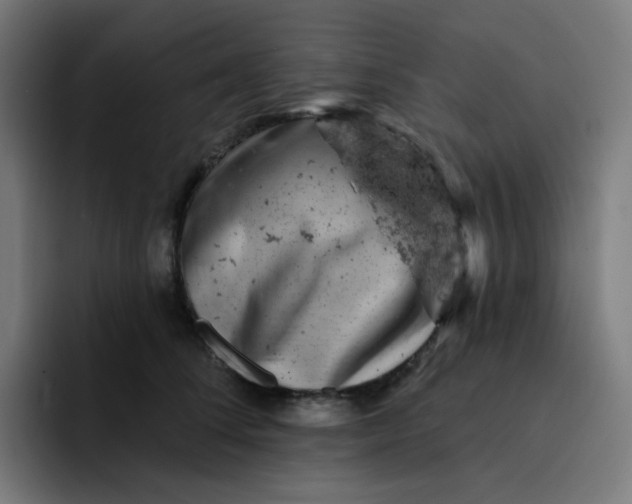 X0000093170708200710101212