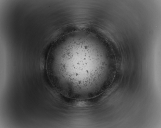 X0000093170710200710101212
