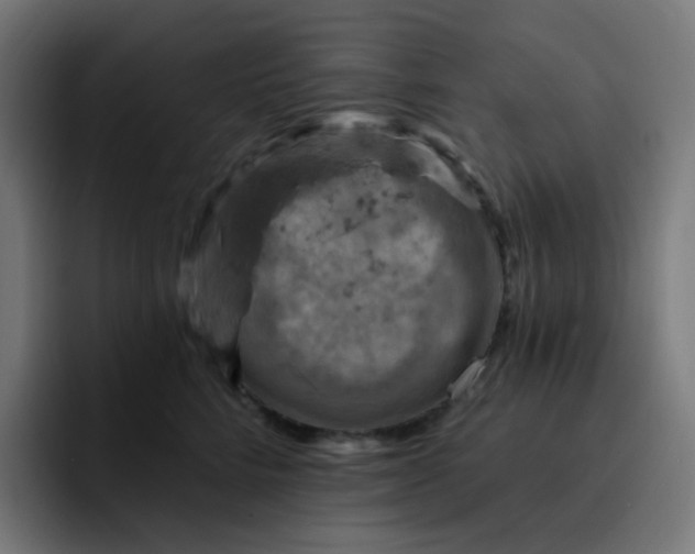 X0000093170712200710101212