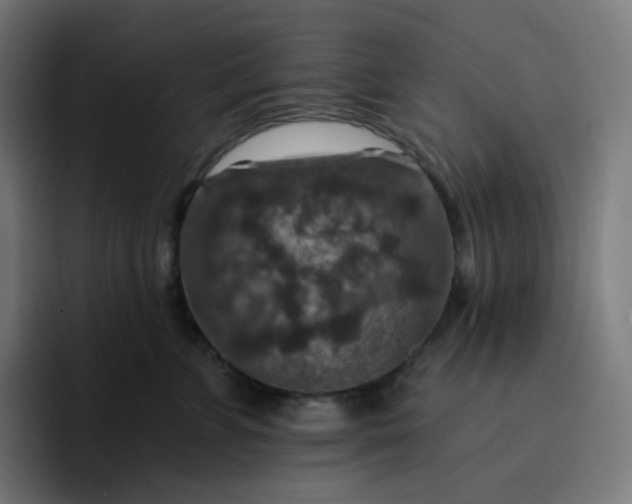 X0000093170715200710101212