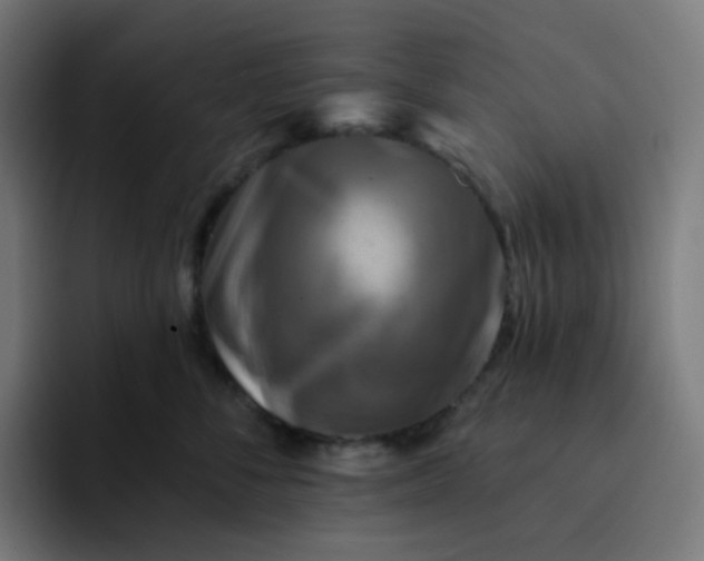 X0000093170716200710101212