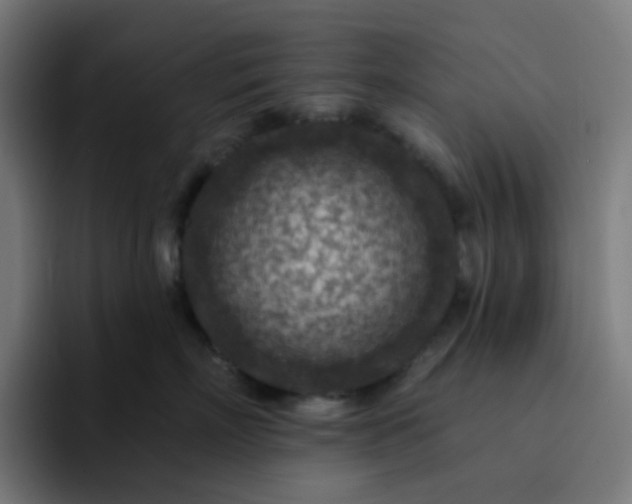 X0000093170718200710101212