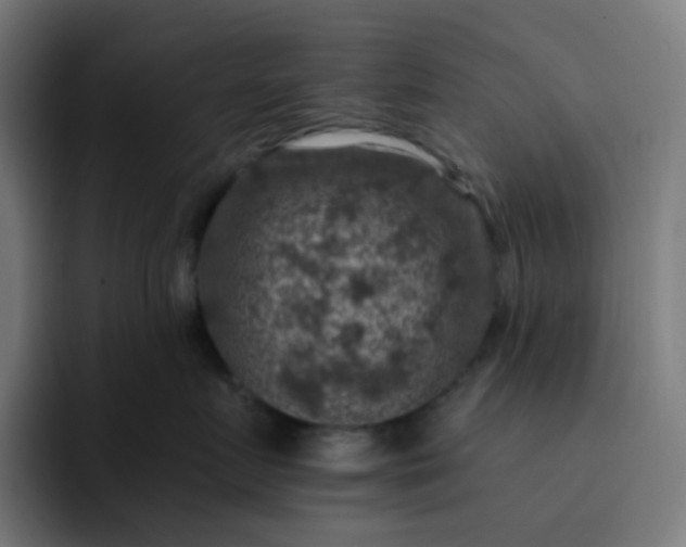X0000093170719200710101212