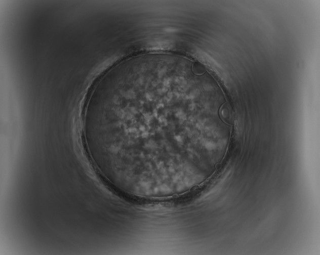 X0000093170721200710101212