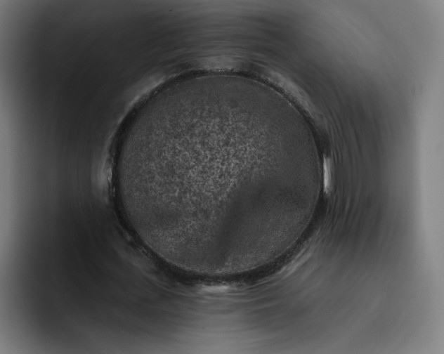 X0000093170723200710101212