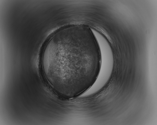 X0000093170724200710101212