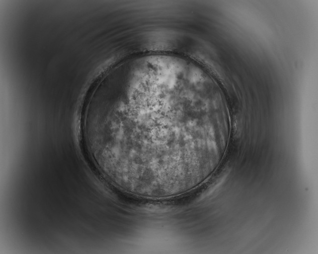 X0000093170725200710101212