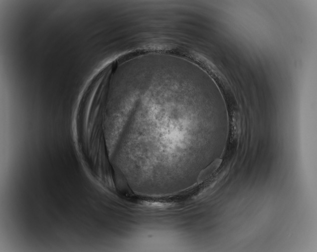 X0000093170726200710101212