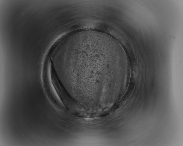 X0000093170728200710101212