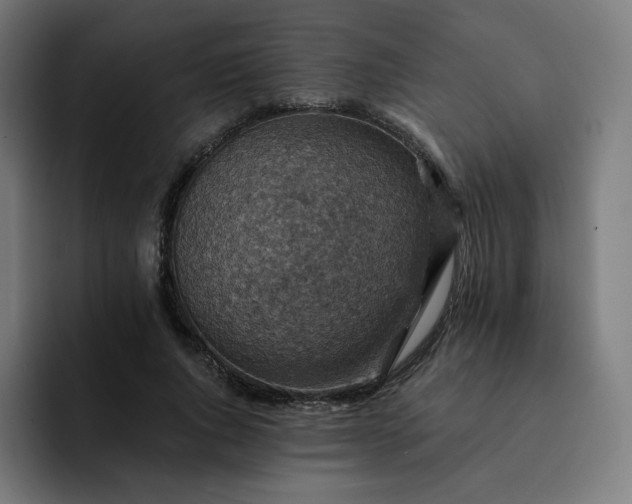 X0000093170736200710101212