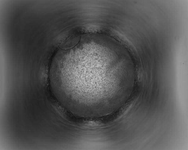 X0000093170737200710101212