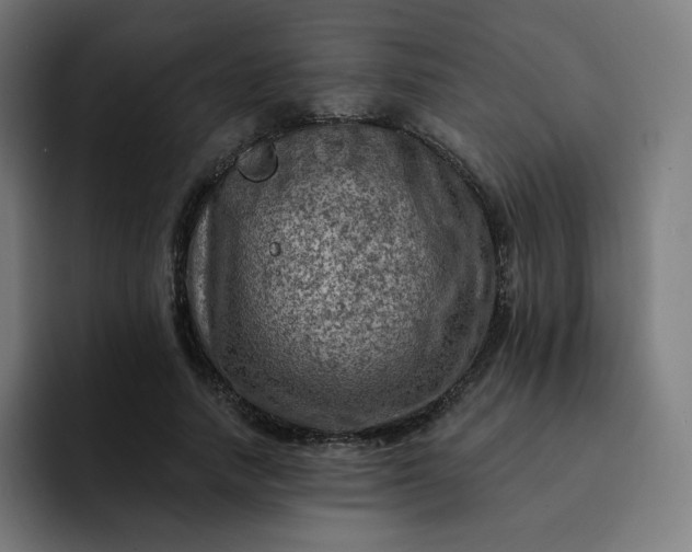 X0000093170738200710101212