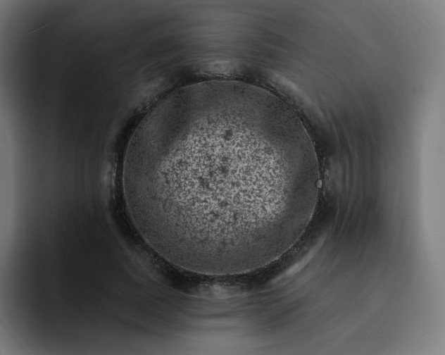 X0000093170739200710101212