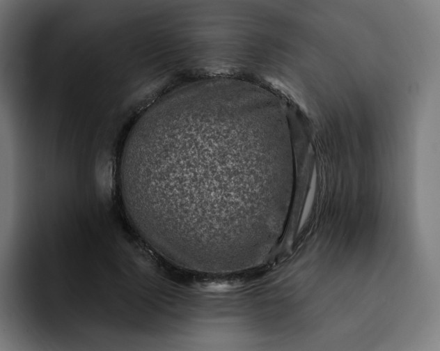 X0000093170740200710101212