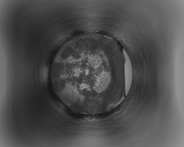 X0000093170742200710101212