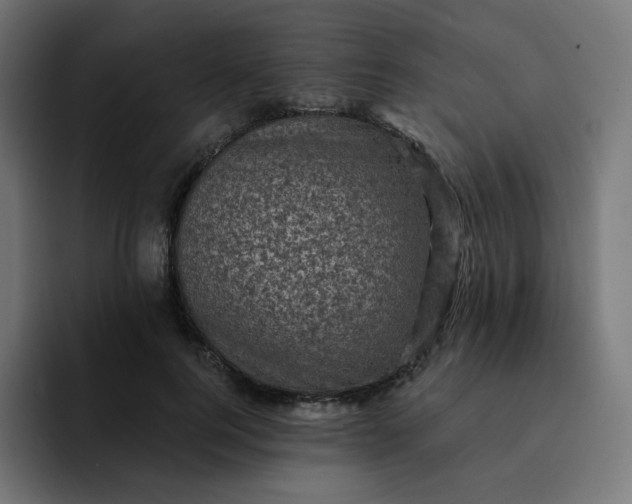 X0000093170744200710101212