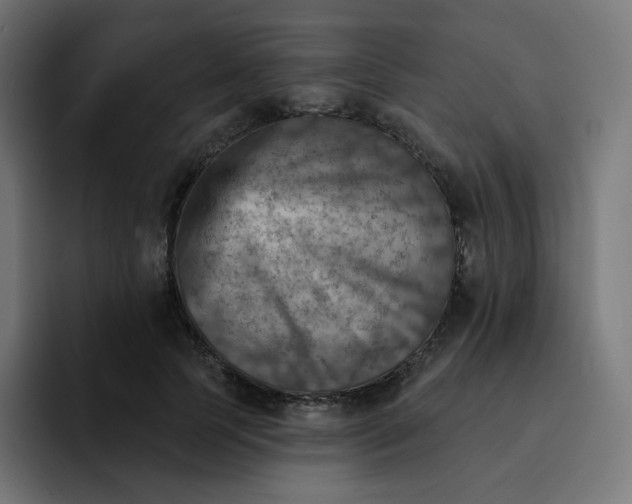 X0000093170745200710101212