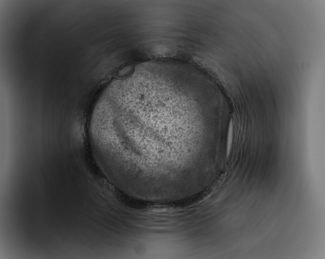 X0000093170746200710101212