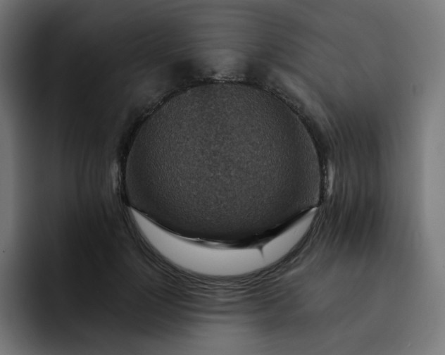 X0000093170748200710101212
