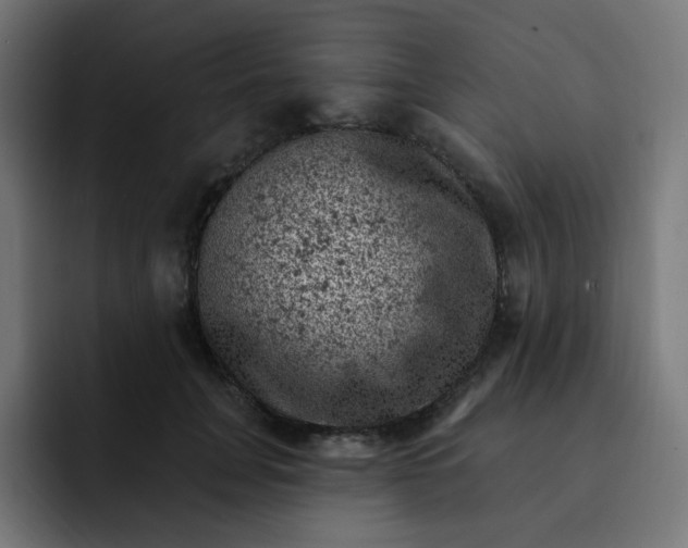 X0000093170751200710101212