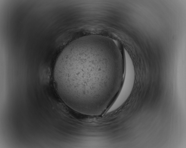 X0000093170752200710101212