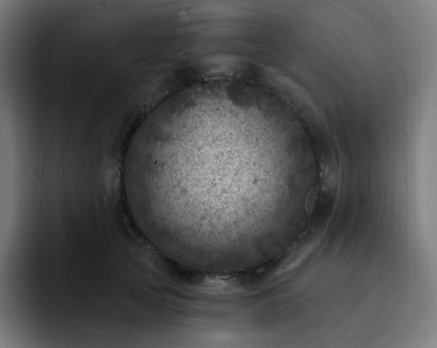 X0000093170753200710101212