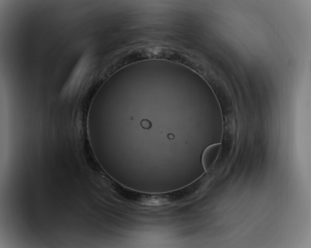 X0000093170754200710101212
