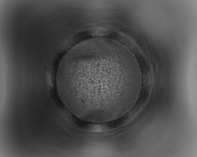 X0000093170755200710101212
