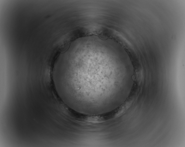 X0000093170757200710101212
