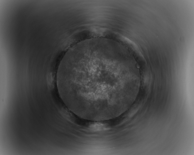 X0000093170759200710101212