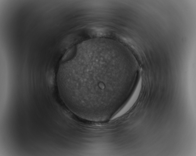 X0000093170760200710101212