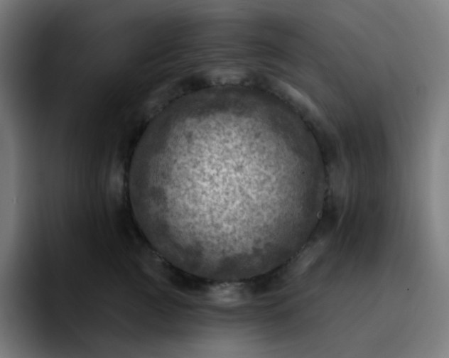 X0000093170761200710101212