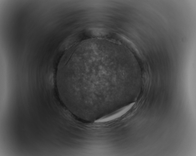 X0000093170762200710101212