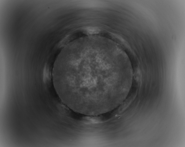 X0000093170763200710101212