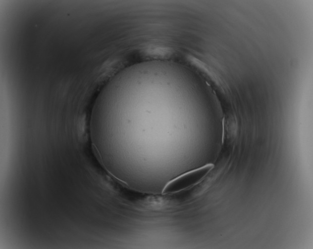 X0000093170764200710101212