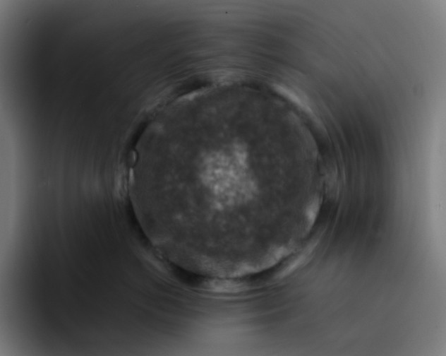 X0000093170766200710101212