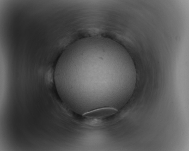 X0000093170768200710101212