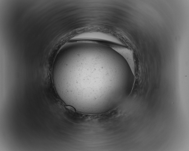 X0000093170773200710101211