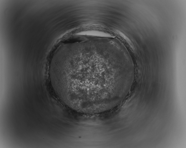X0000093170775200710101211