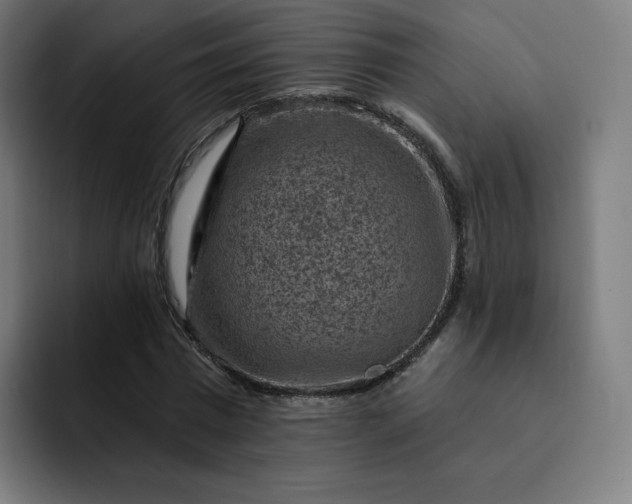 X0000093170777200710101211
