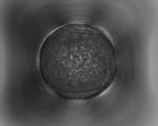 X0000093170779200710101211