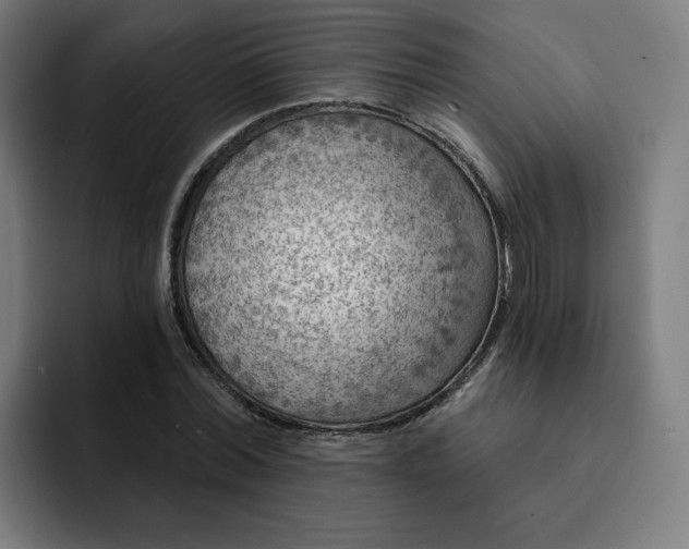 X0000093170780200710101211